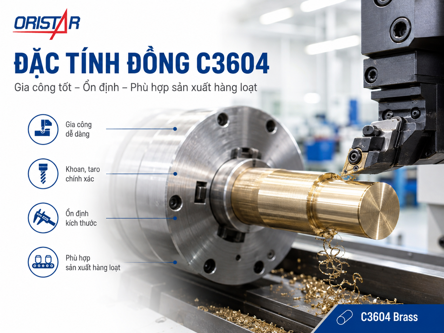 dac-tinh-dong-c3640