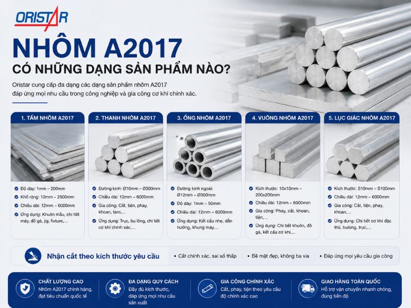 Nh&ocirc;m A2017 C&oacute; Những Dạng Sản Phẩm N&agrave;o
